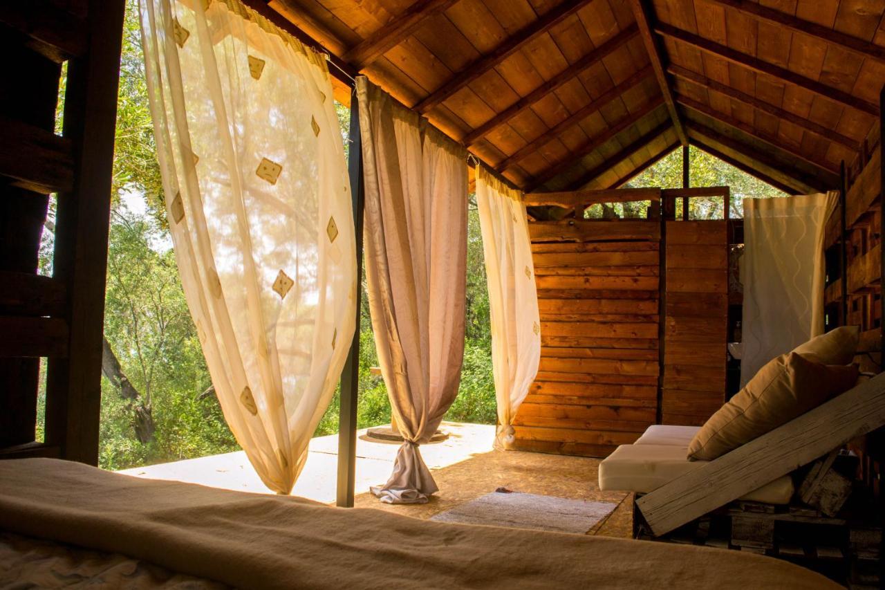 Lodge Olive Grove Oasis No4 *
