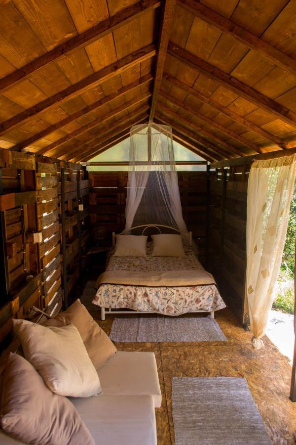 Lodge Olive Grove Oasis No4