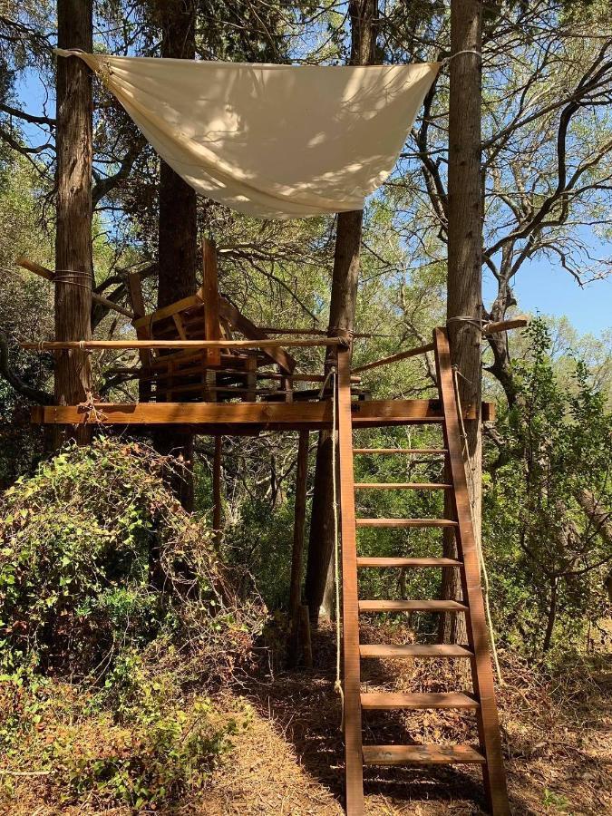 Olive Grove Oasis No4 Lodge
