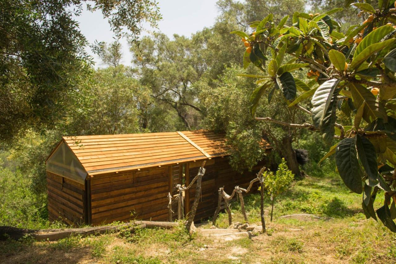 Olive Grove Oasis No4 Cabană *