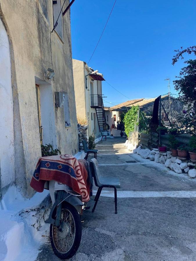 Lodge Olive Grove Oasis No4 *